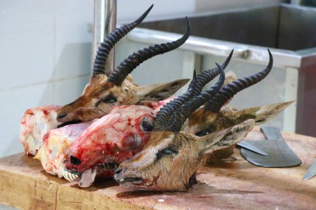 Lammschädel auf dem Schneidetisch. Geschlachtete Tierköpfe