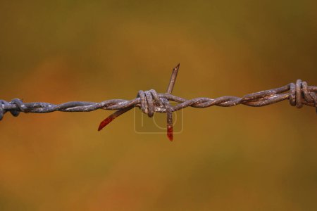 Photo for Steel chain with spike for the fence normally for the safety and security purpose - Royalty Free Image