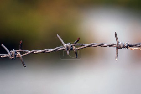 Photo for Steel chain with spike for the fence normally for the safety and security purpose and separation of land properties - Royalty Free Image