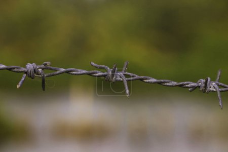 Photo for Steel chain with spike fence for the safety and security purpose - Royalty Free Image