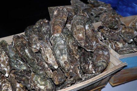 Photo for Fresh fine de clair oysters in a box for sell in a market stall - Royalty Free Image