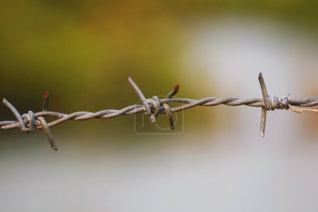 Photo for Metal chain with spike for the fence normally for the safety and security purpose - Royalty Free Image