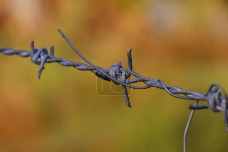 Photo for Metal chain with spike for the fence for the safety and security purpose - Royalty Free Image