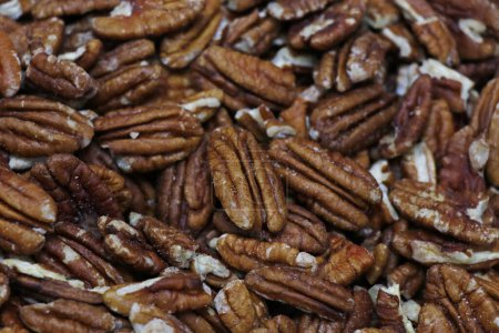 Photo for Lots of raw organic pecan nuts. Pecan background. - Royalty Free Image