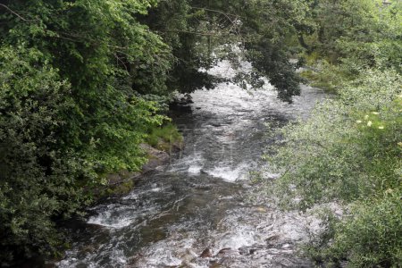 Téléchargez les photos : Rivière au milieu de la nature située dans les Asturies - en image libre de droit