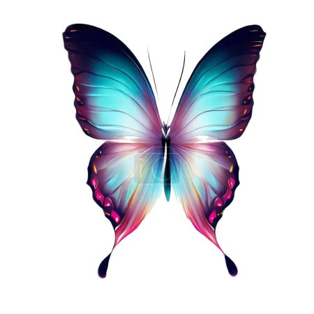 Téléchargez les illustrations : Illustration papillon sur toile blanche - en licence libre de droit