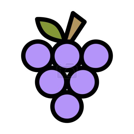 Photo for Grapes are small,round or oval-shaped fruits that grow in clusters on vines. They come in various colors,including green,red,and purple,and have a sweet and juicy taste. - Royalty Free Image