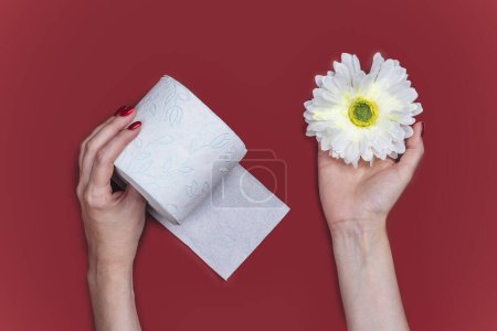 Foto de Rollo de papel higiénico y flor blanca en manos de mujeres. Día internacional del papel higiénico. Vista superior - Imagen libre de derechos