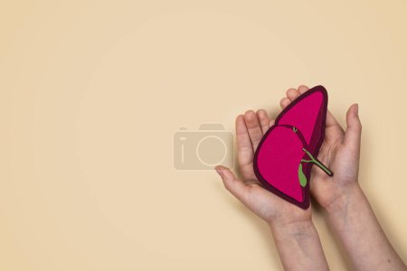 Photo for Childs hands holding Human Liver organ and pills. World hepatitis day. National liver awareness month. Liver transplantation, donation background. Save patient life in hospital with liver transplant - Royalty Free Image