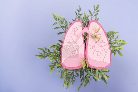 Foto de Pulmones rosados saludables sobre follaje verde. Día Mundial de la Tuberculosis, Día de la Neumonía o Día Mundial del Pulmón. Día de la donación de órganos. Ningún tabaco o fumar mata el fondo - Imagen libre de derechos