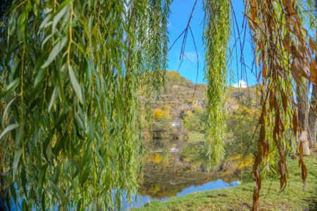 Téléchargez les photos : Belle vue sur la rivière d'automne Berounka, saule, forêt et montagnes, Zadni Treban. République tchèque. Photo de haute qualité - en image libre de droit