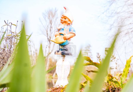 cute garden gnome, white beard, white cap and blue jacket stands in between fresh greenery in a garden on a sunny day with blue sky. In Early Spring. Czech. High quality photo