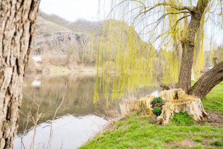 Téléchargez les photos : Tombez sur l'herbe verte près de la rivière Berunka. Un vieux tronc d'arbre dans le parc. Au début du printemps. Tchèque. Photo de haute qualité - en image libre de droit