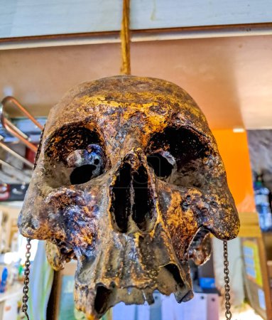 Foto de Un cráneo humano condimentado para Halloween en un bar checo. Foto de alta calidad - Imagen libre de derechos