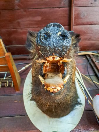 Köpfe eines ausgestopften Wildschweins im Jägerhaus. Hochwertiges Foto