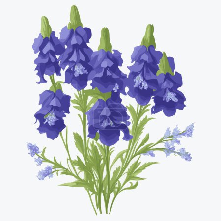 Illustration for A pack of delphinium flowers in vector style - Royalty Free Image