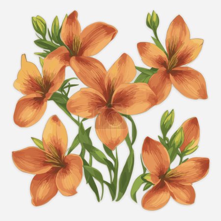 Ilustración de Un paquete de flores de alstroemeria en estilo vectorial - Imagen libre de derechos