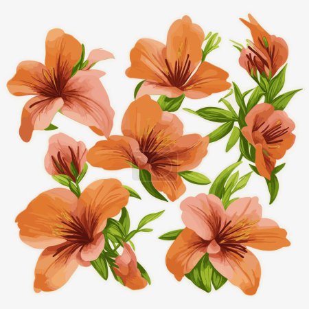 Ilustración de Un paquete de flores de alstroemeria en estilo vectorial - Imagen libre de derechos