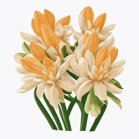 Illustration for A pack of tuberose flowers in vector style - Royalty Free Image