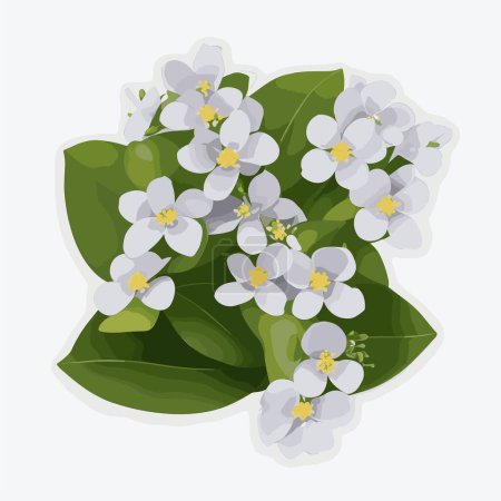 Illustration for A pack of hoya flowers in vector style - Royalty Free Image