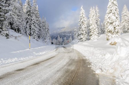 Téléchargez les photos : Route de col de montagne à travers une forêt enneigée en hiver - en image libre de droit