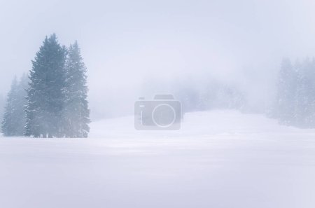 Téléchargez les photos : Foggy snow covered mountain lasndscape in winter. Extreme winter weather. - en image libre de droit