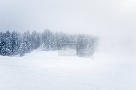 Foto de Backcountry skiers on a skiing trail on a foggy winter day - Imagen libre de derechos