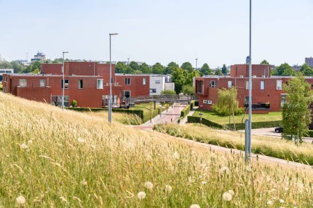 Téléchargez les photos : Housing development with moder brick houses on a sunny summer day. Zoetermeer, Netherlands. - en image libre de droit