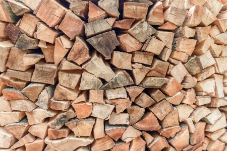 Téléchargez les photos : Close up of stacked firewood. Wooden texture. - en image libre de droit