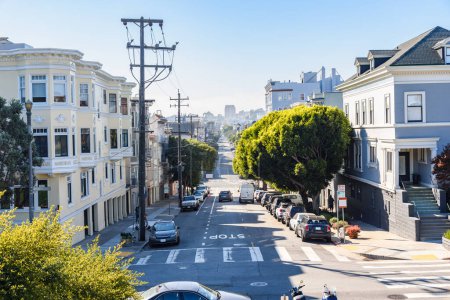 Téléchargez les photos : Rue droite bordée d'arbres à travers un quartier résidentiel par une journée ensoleillée d'automne. San Francisco, CA, États-Unis. - en image libre de droit