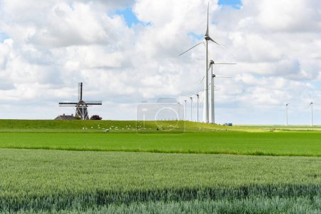 Foto de Turbinas eólicas para la generación de electricidad y un antiguo molino de viento en el campo de los Países Bajos en un día nublado de verano. Eemshaven, Países Bajos. - Imagen libre de derechos