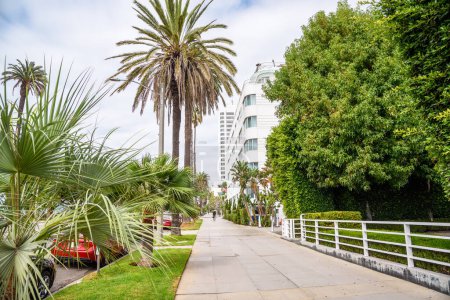 Photo for Sidewalk lined with palm trees in Santa monica on a partly cloudy autumn morning. Santa Monica, CA, USA. - Royalty Free Image