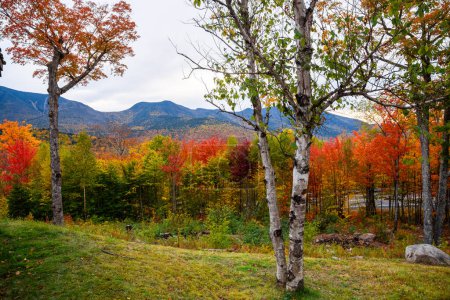 Téléchargez les photos : Couleurs d'automne dans les montagnes. White Mountain National Forest, NH, États-Unis. - en image libre de droit