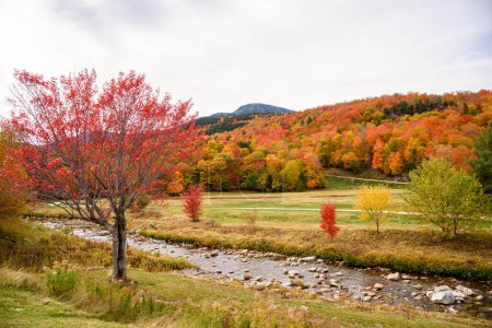 Téléchargez les photos : Montagne couverte de forêts de feuillus au sommet des couleurs automnales. Un ruisseau bordé d'arbres colorés est au premier plan. Mount Washington, NH, États-Unis. - en image libre de droit