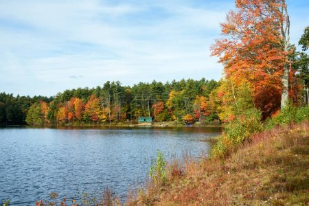 Schöner See umgeben von dichtem Wald im Herbst. Zwischen den Bäumen am Ufer des Sees ist eine Ferienhütte zu sehen. New Hampshire, USA.
