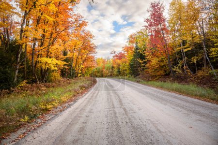 Téléchargez les photos : Route forestière de gravier par une journée d'automne partiellement nuageuse. Superbes couleurs automnales le long de la route. Parc Algonquin, ON, Canada. - en image libre de droit