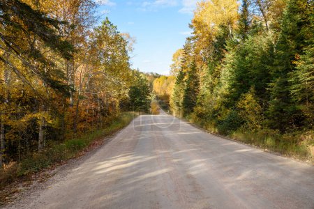 Téléchargez les photos : Route arrière vierge à travers une forêt au sommet des couleurs de l'automne par une journée ensoleillée. Parc Algonquin, ON, Canada. - en image libre de droit