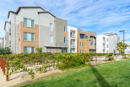 Foto de Modernos edificios de apartamentos en una urbanización. Un jardín comunitario está en primer plano. California, Estados Unidos. - Imagen libre de derechos