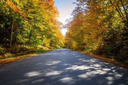 Foto de Desertado tramo recto de un camino rural a través de un denso bosque en la cima del follaje de otoño en un día soleado. Ontario, Canadá. - Imagen libre de derechos