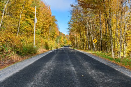 Photo for Empty stretch of a forest road on a sunny autumn morning. Stunning fall foliage. Ontario, Canada. - Royalty Free Image