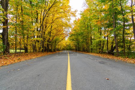 Foto de Camino vacío bordeado de árboles en la cima del follaje de otoño en el campo de Ontario, Canadá. - Imagen libre de derechos
