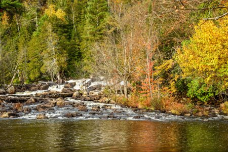 Foto de Pequeña cascada en un paisaje arbolado en la cima del follaje de otoño. Ragged Falls park, ON, Canadá. - Imagen libre de derechos