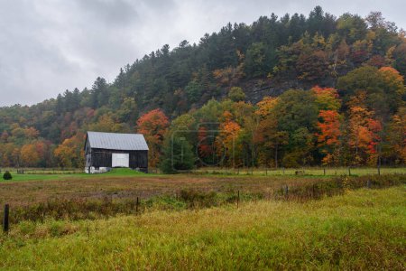 Téléchargez les photos : Grange en bois au pied d'une colline boisée par un jour d'automne pluvieux. Huntsville, ON, Canada. - en image libre de droit