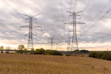 Foto de Pilas eléctricas que soportan líneas eléctricas de alto voltaje en el campo bajo el cielo nublado al atardecer en otoño. Ontario, Canadá. - Imagen libre de derechos