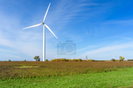 Photo for Wind turbines in a grassy field under blue sky in autumn. Wolfe Island, ON, Canada. - Royalty Free Image
