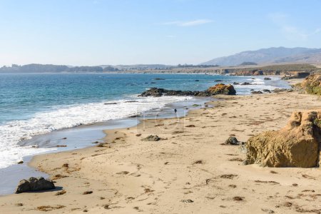 Téléchargez les photos : Femme marchant le long du rivage sur une plage de sable fin en Californie centrale par une journée ensoleillée d'automne - en image libre de droit