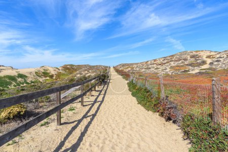 Foto de Sendero cercado abandonado a través de dunas de arena costera en un día claro de otoño. Marina, CA, EE.UU. - Imagen libre de derechos