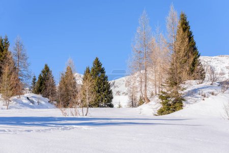 Téléchargez les photos : Paysage de montagne enneigé de haute altitude par temps clair d'hiver - en image libre de droit