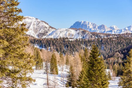 Téléchargez les photos : Paysage de montagne enneigé de haute altiture par une journée d'hiver claire - en image libre de droit