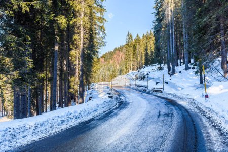 Foto de Curva a lo largo de un camino de montaña helada a través de un bosque de pinos nevados en un día de invierno soleado - Imagen libre de derechos